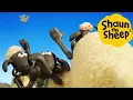 Lagu Shaun the Sheep 🐑 Puzzle - Cartoons for Kids 🐑 Full Episodes Compilation [1 hour]