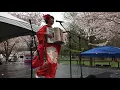 Download Lagu Japanese folk song 《Sōran Bushi》 (ソーラン節) Performed by beautiful and talented  遠峰あこ Aco Tomine!