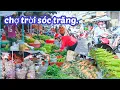 Download Lagu Cảnh Mua Bán Tại Chợ Trời Sóc Trăng, Đi Chợ Mua Được Mít Đỏ -Củ Hành Vĩnh Châu Quá Ngon.