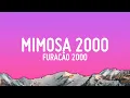 Furacão 2000 - Mimosa 2000 (Letra/Lyrics)