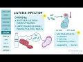congenital TORCH infections