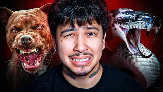 People Who Were Killed By Their Own Pets..