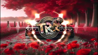 Zdiib 7adrtk Remix حسن الاميري حضرتك هل معتني ريمكس TRX Remix 