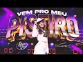 Download Lagu Brisa Star - Vem Pro Meu Piseiro