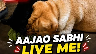 labra rubi is live