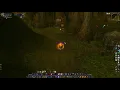 Lost One Chieftain Rare Swamp of Sorrows WoW Classic