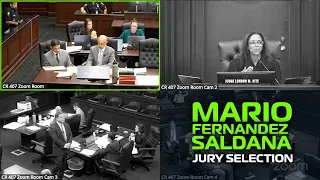 FL v Mario Fernandez Saldana Jared Bridegan Murder Trial - Jury Selection