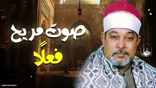 الشيخ السيد سعيد سورة يس والمزمل تلاوة أسطورية أبهرت الحاضرين 
