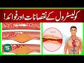 Cholesterol Hidden Dangers Surprising Health Benefits Explained Health Special