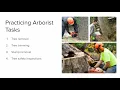 Consulting Arborists Top Questions Answered