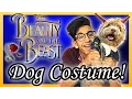 Beauty and the Beast Dog Costume ImJustKyian