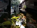 Download Lagu Semoga anda menikmati momen  ini! https://sck.io/p/lj2cdRsZ