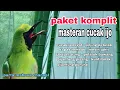 Lagu Kombinasi Masteran Cucak ijo Tembakan Kasar - Full Isian Mewah Untuk Burung Lomba