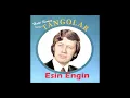 Esin Engin Orkestrası - Sevdim Bir Genç Kadını | Tangolar