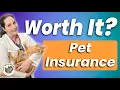 Pet Insurance for Cats
