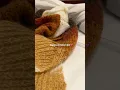 Download Lagu fall knitwear is to die for