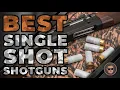 Best Single Shot Shotguns Top Options Reviewed Gunmann