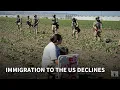 Download Lagu Immigrant population in the US has started to decline for the first time in years