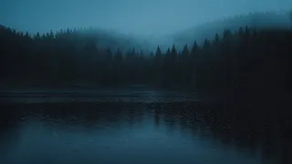 a calm ambient playlist for moody weather