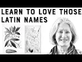 Download Lagu Learn to Love Those Latin Names with Ann Willyard