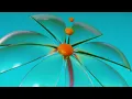 MAFRO - Hooked (feat.Caroline Byrne)