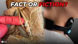 How Your Vagus Nerve REALLY Controls Your Body