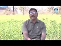 Lagu Success Story of Kardai Plantation | Devnand Chaudhary | Pramod Parvate | HD | Krushidarshan | Krushidarshan | 21.01.2026