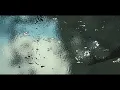 Catching Flies - Yŭ (Official Audio)