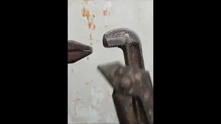 روح يانسيم لارضها سلملي على اللي بحبها Agt Americasgottalent Magic Miracle 