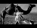 Davit Barqaia - My Way | Premiere