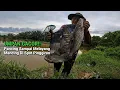 Download Lagu Sungguh keterlaluan ganasnya!! pancing sampai dibawa kabur di spot sejuta umat