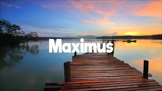 dj max ft tash kay show you