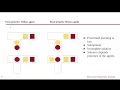 Multi-Agent Path Finding for Robots in Large Warehouse