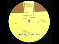 Stevie Wonder - Golden Lady (lyrics)