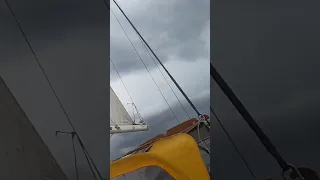 The fickle Winds! 💨