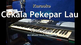Download CEKALA PAKEPAR LAU Tone Cewek Karaoke Pop MP3