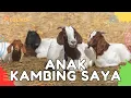 Download Lagu ✅LAGU ANAK KAMBING SAYA TERBARU - LAGU ANAK REMIX