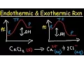 Endothermic and Exothermic Reactions