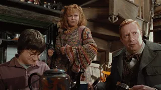 harry visits the weasleys full scene harry potter and the chamber of secrets