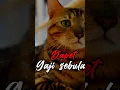 Download Lagu 7 hari dalam seminggu#santaitapiasik