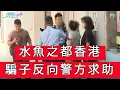 Download Lagu 「裝修騙案 騙子反向警方求助」 #廣東話