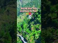 Download Lagu Jug jug jeve tera jammuey da Raja #youtubeshorts #vaishnodevishrine #shortvideo #vaishnomandir 🚩🙏🙌❤️