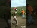 Download Lagu in da club 50 cent(it's your Birthday)😂😂😂#50cent#viral#trending#shorts#reels#indaclub