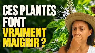 Maigrir avec les plantes du jardin créole : ce qui marche vraiment (et ce qui est une arnaque)