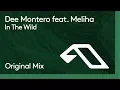 Download Lagu Dee Montero feat. Meliha - In The Wild