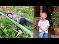 Download Lagu Thuy Stumbled While Cutting Giant Bamboo - Country Life | Trieu Thi Thuy.