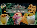 A Disney Inspired Tiki Bar The Trade Winds Pub