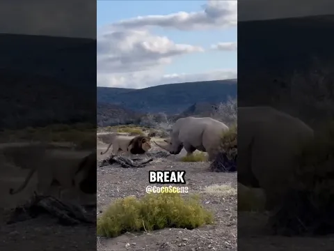 Animals Break the Rules of the Food Chain.
