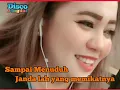 JANDA MUDA lirik song ADE IRMA cover lipsing NEYSASAFIRA  editing @duda kalem