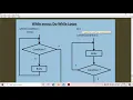 C Loops Part2 - while loop and do